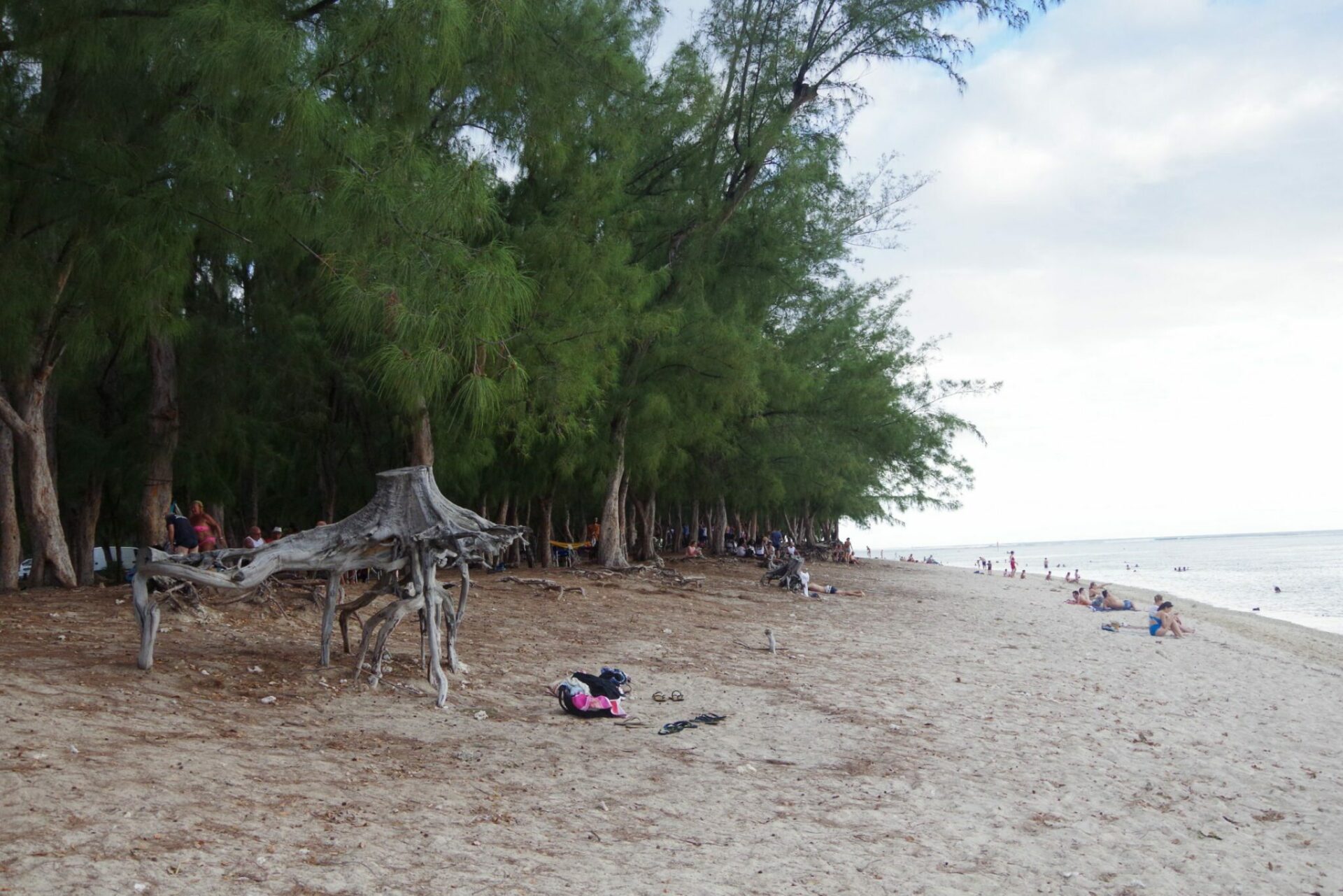 L’érosion des plages sur la cote ouest de l’Ile de La Réunion.