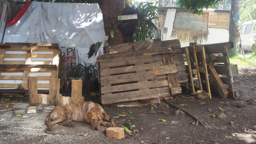 Les membres des Zazalé reconstruisent avec des matériaux de récupération l'espace du boukan détruit par le cyclone Batsiraï. (Photo JSG)