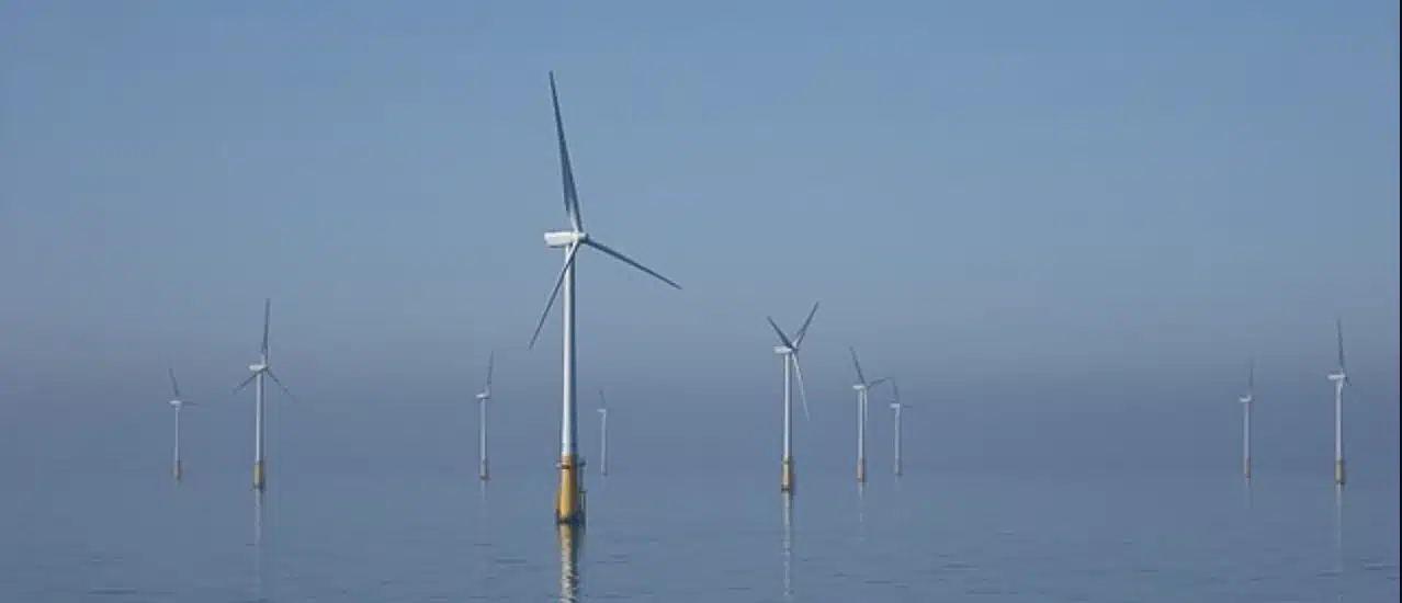 parc offshore éolien