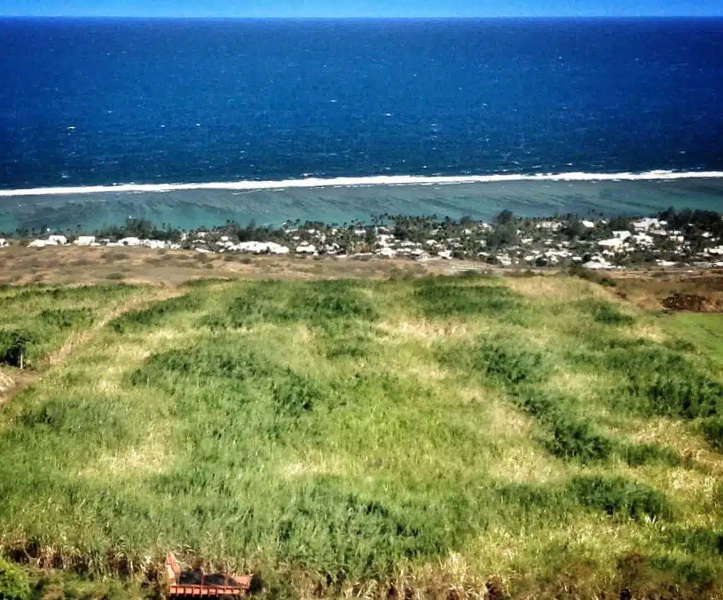 champ de canne ouest irrigation terre agriculture foncier