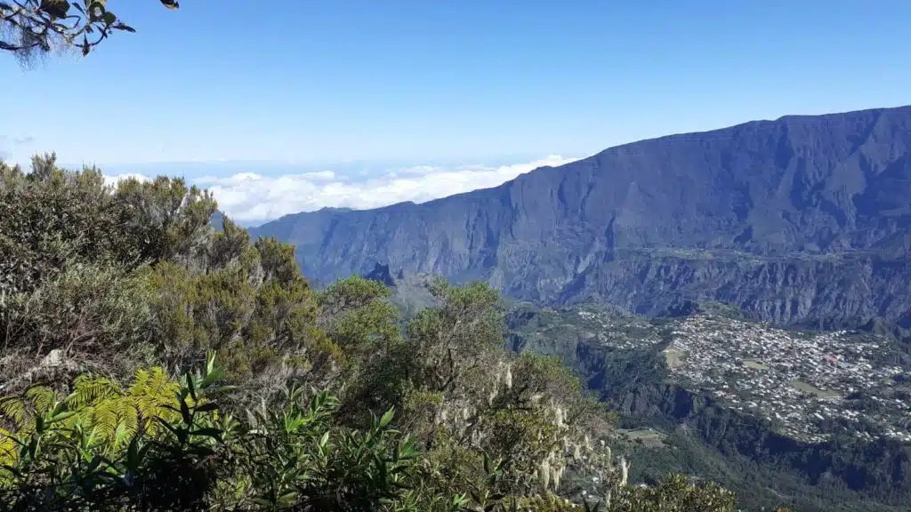 Randonnée forêt hauts Makes Cilaos ilet a cordes