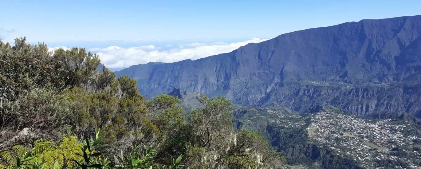 Randonnée forêt hauts Makes Cilaos ilet a cordes