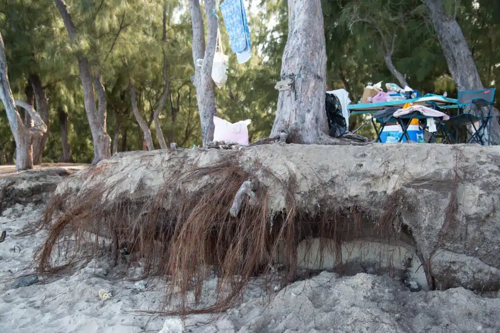 érosion sur les plages de Saint-Paul Hermitage plantations