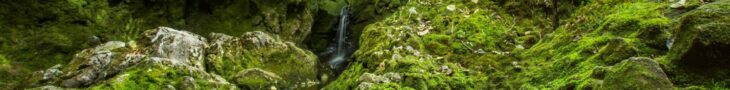 écologie nature