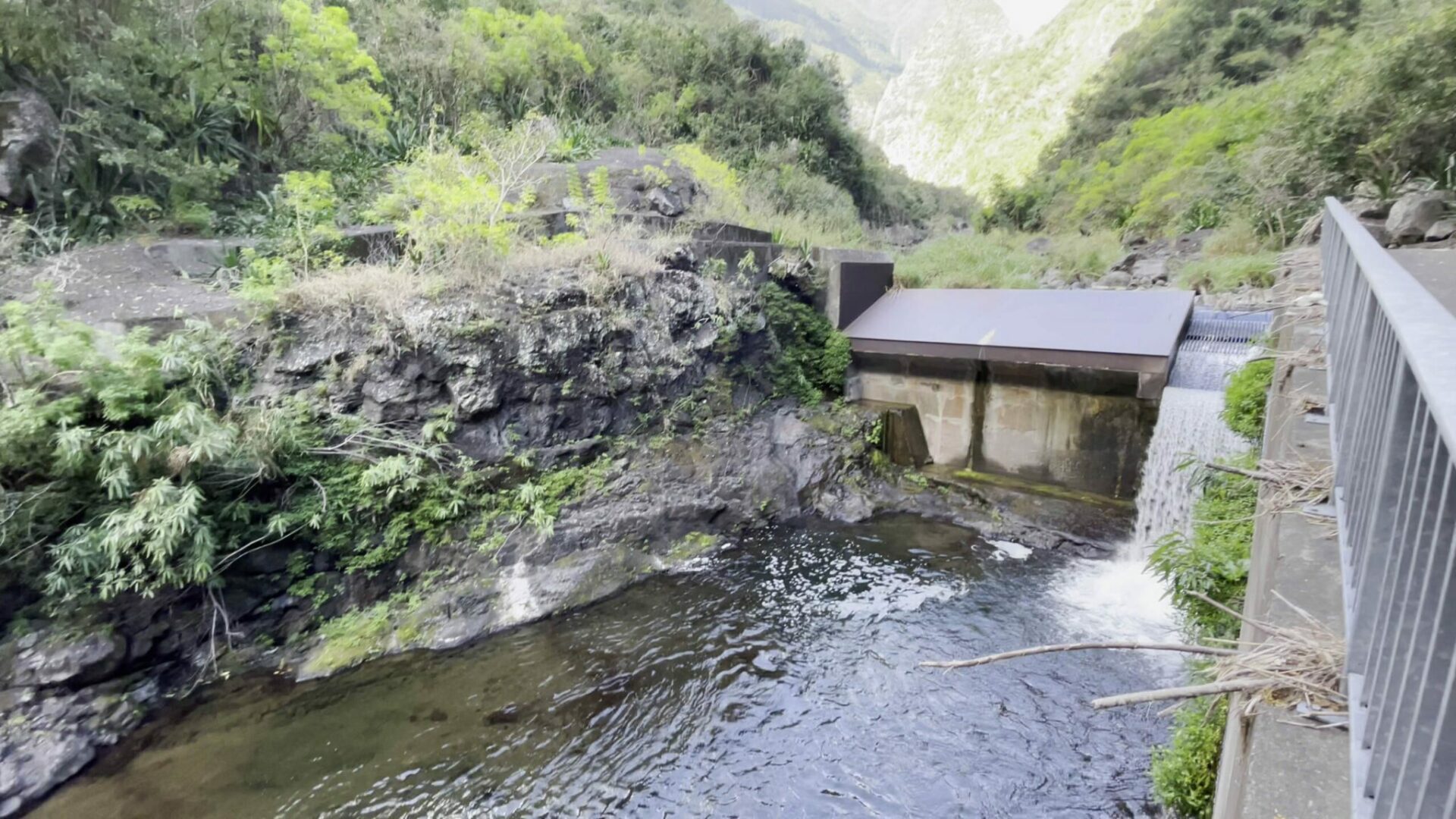 L’eau de La Réunion : une ressource précieuse gravement menacée