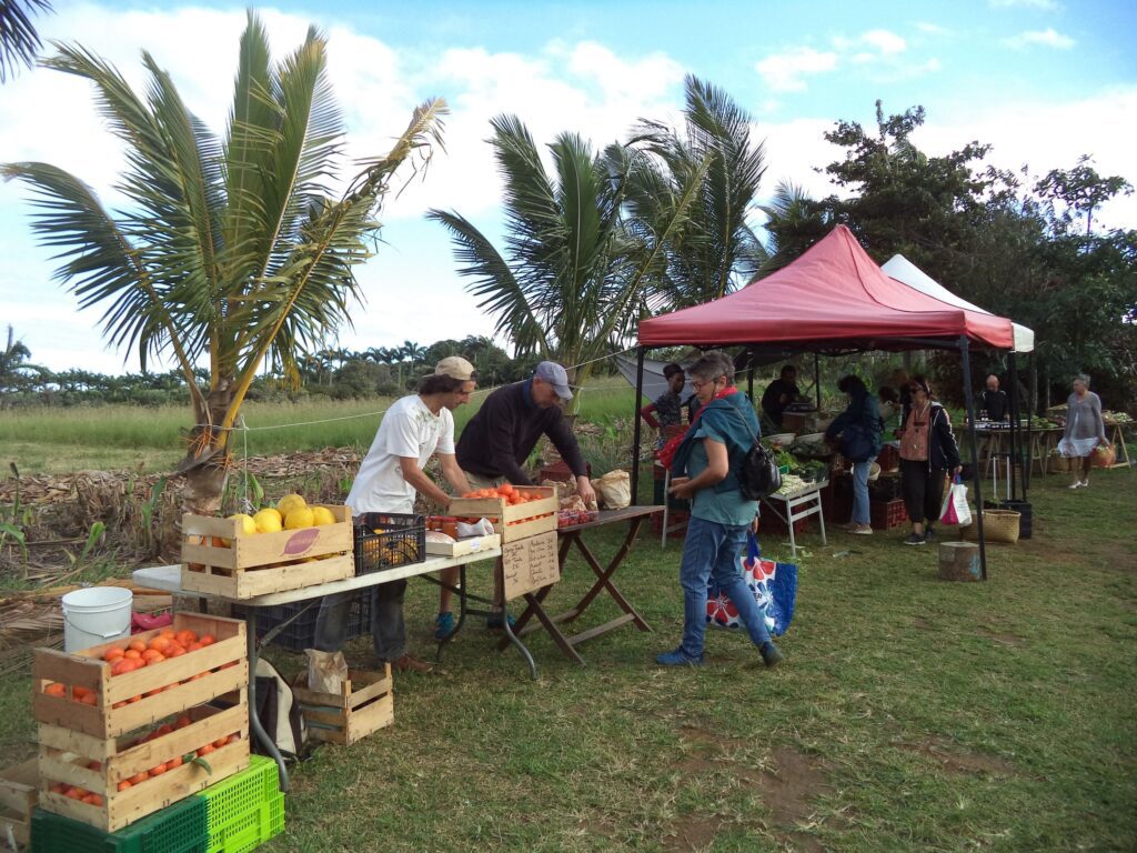 marché de l'AREC bio à Petite-Ile