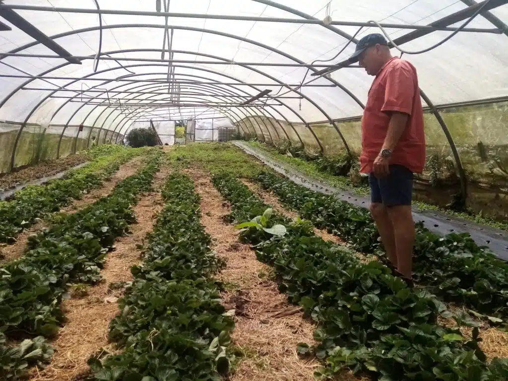 Guy Huet agriculteur bio