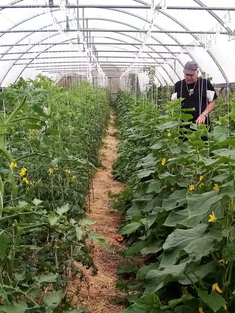 Guy Huet agriculteur bio