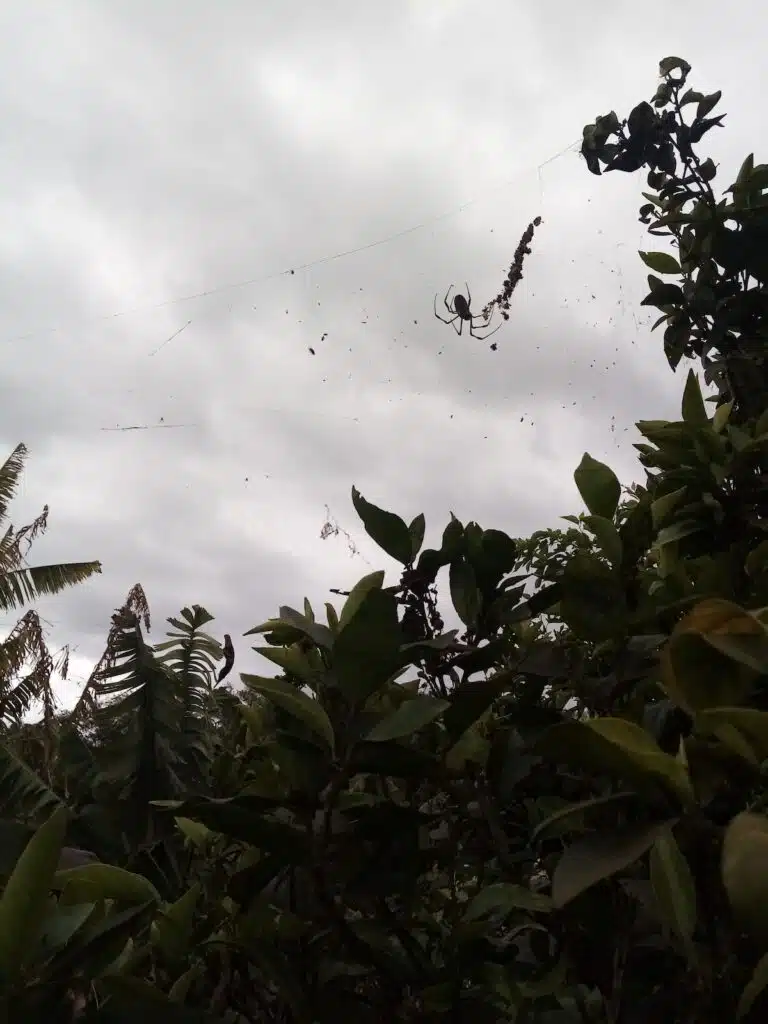 Guy Huet agriculteur bio