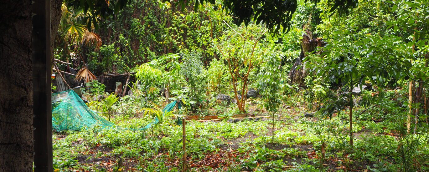 Le Jardin d'Abord en janvier 2021, fréquenté par des militants ou des proches du rond-point des Zazalé.