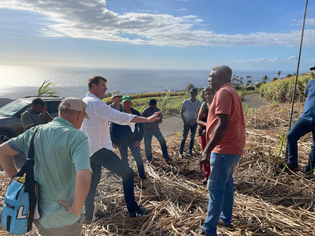 Yannick Jadot, député européen, candidat à l'élection présidentielle d'EELV Europe écologie les verts, en visite à La Réunion dans un champ de cannes avec les planteurs de la CGPER Jean-Michel Moutama