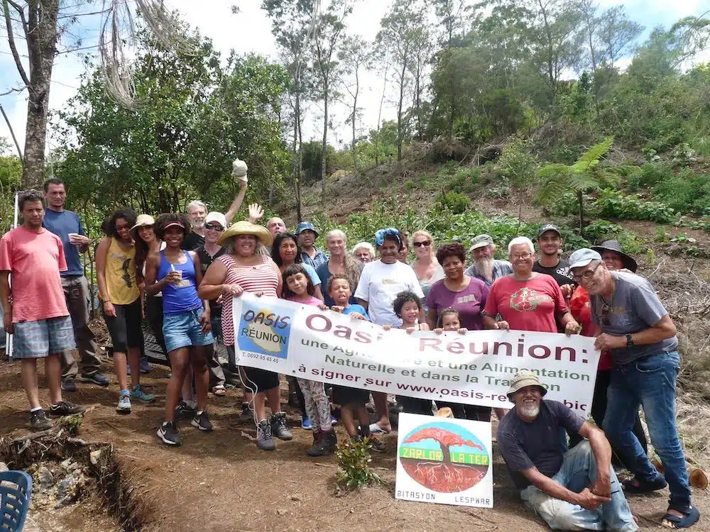 Oasis Réunion