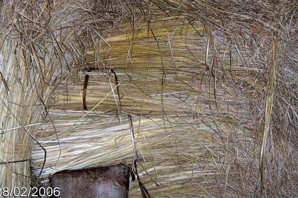 Bottes de vetiver, case en paille