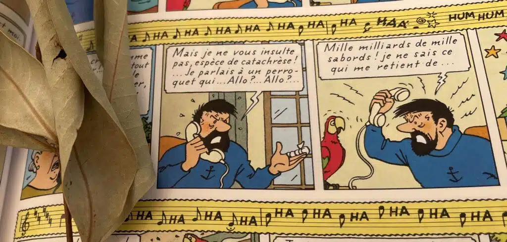 anacoluthe Capitaine Haddock