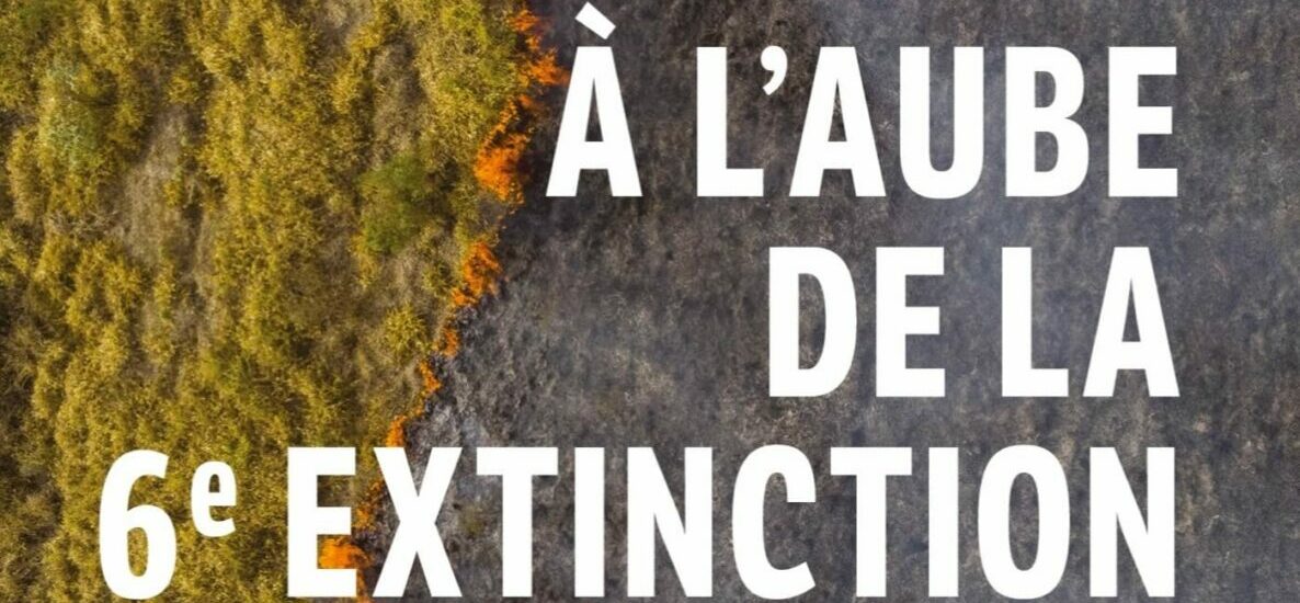 A l'aube de la 6ème extinction
