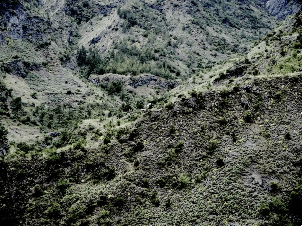 Ravine grand mère mafate