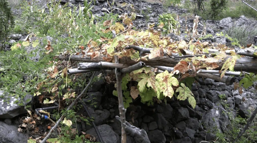 Mafate Ravine Grand Mère chez Paul Mélade