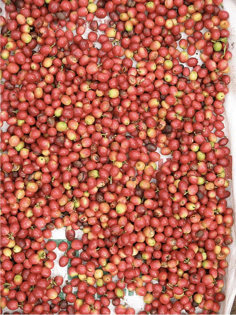 Mafate Ravine Grand Mère chez Paul Mélade