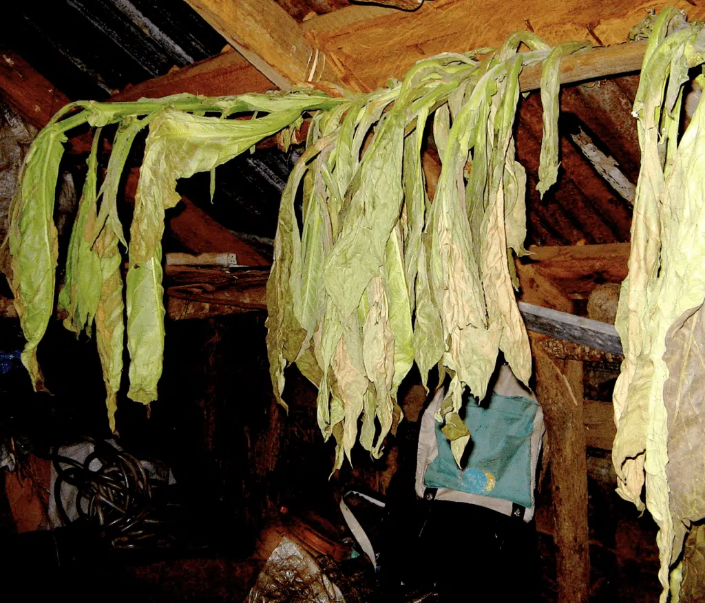 Mafate Ravine Grand Mère chez Paul Mélade