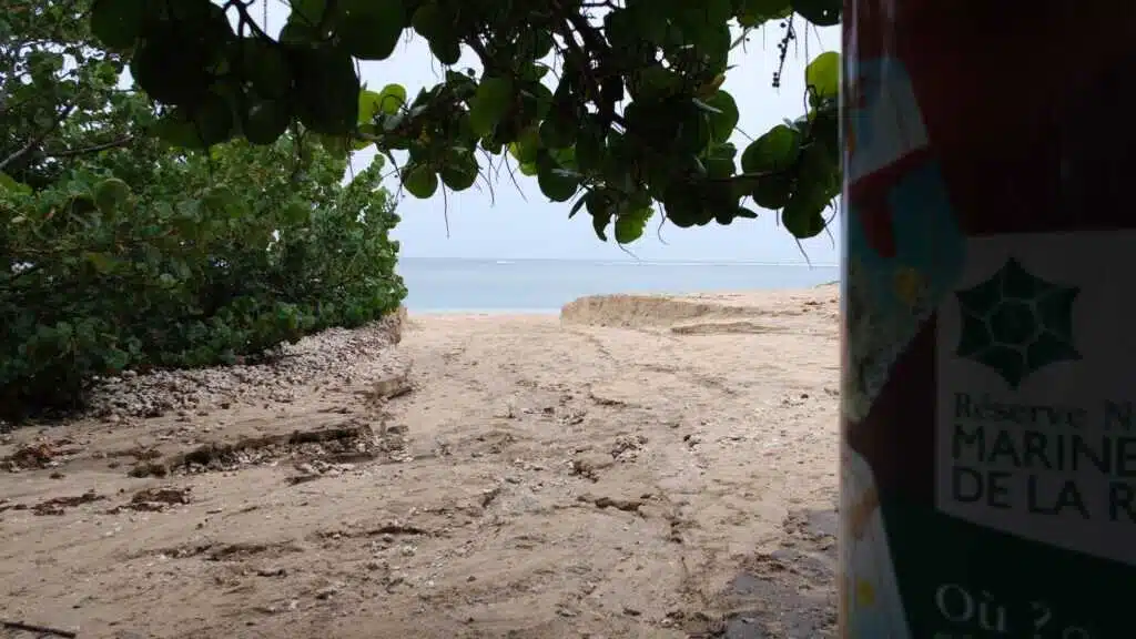 inondation petit trou d'eau Papi de l'Ermitage