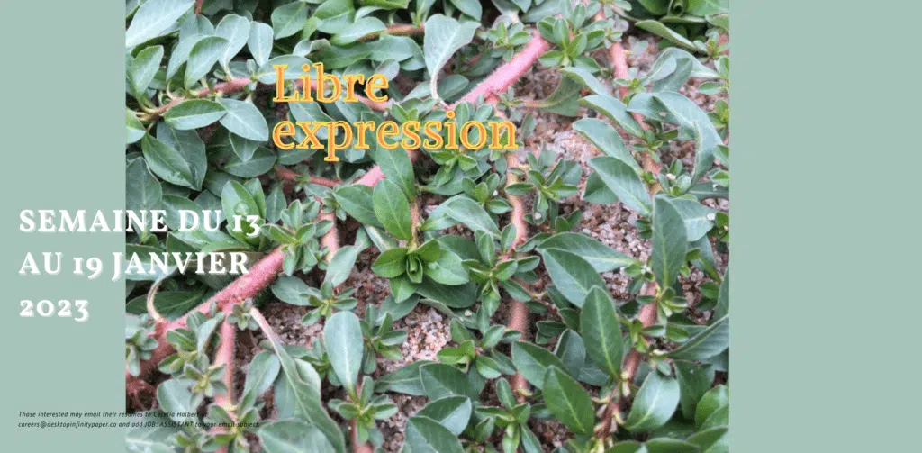 libre expression