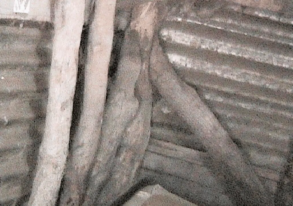 Mafate Ilet à Bourse chez Barnabé et Jeanne-Marie Thomas