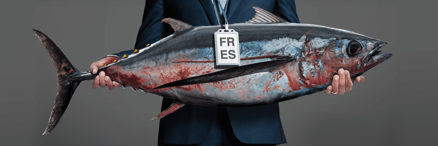 Protéger le thon de l’océan Indien des pressions européennes