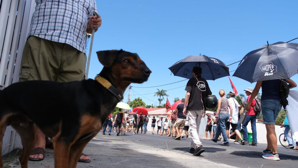 manifestation loi retraites Saint-Pierre mardi 7 février 2022