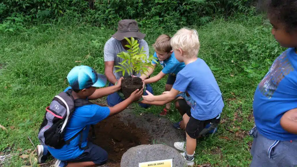 plantation enfants bois de Judas Fête de la Forêt grotte du peuplement Saint-Paul