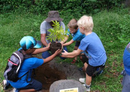 plantation enfants bois de Judas Fête de la Forêt grotte du peuplement Saint-Paul