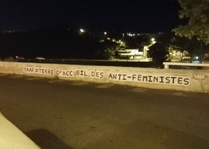 Le collage féministe a été apposé dans la nuit du 2 au 3 mars 2023 à côté du bâtiment des TAAF à Saint-Pierre. (Photo JSG)