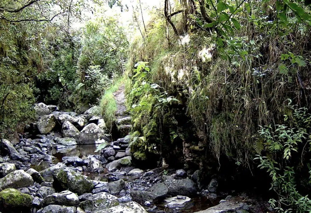 « Le caractère naturel de Mafate… » Ravine le Jar – Bas du Chemin charrette à La Nouvelle