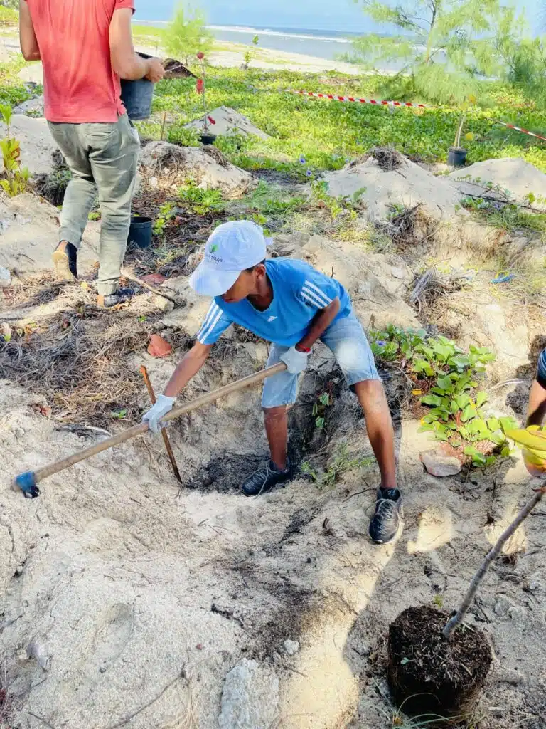 plantation plage tortues