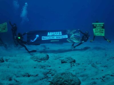 Greenpeace photo sous marine nodules exploitation minière fond océan