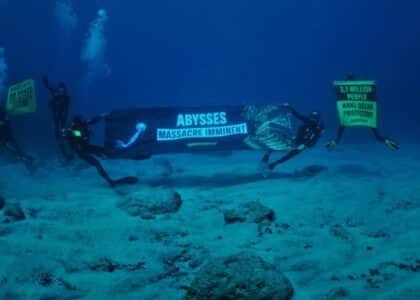 Greenpeace photo sous marine nodules exploitation minière fond océan