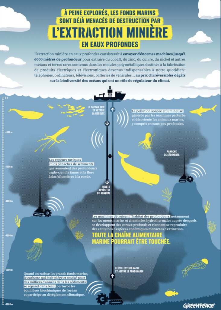 Greenpeace infographie sous marine nodules exploitation minière fond océan