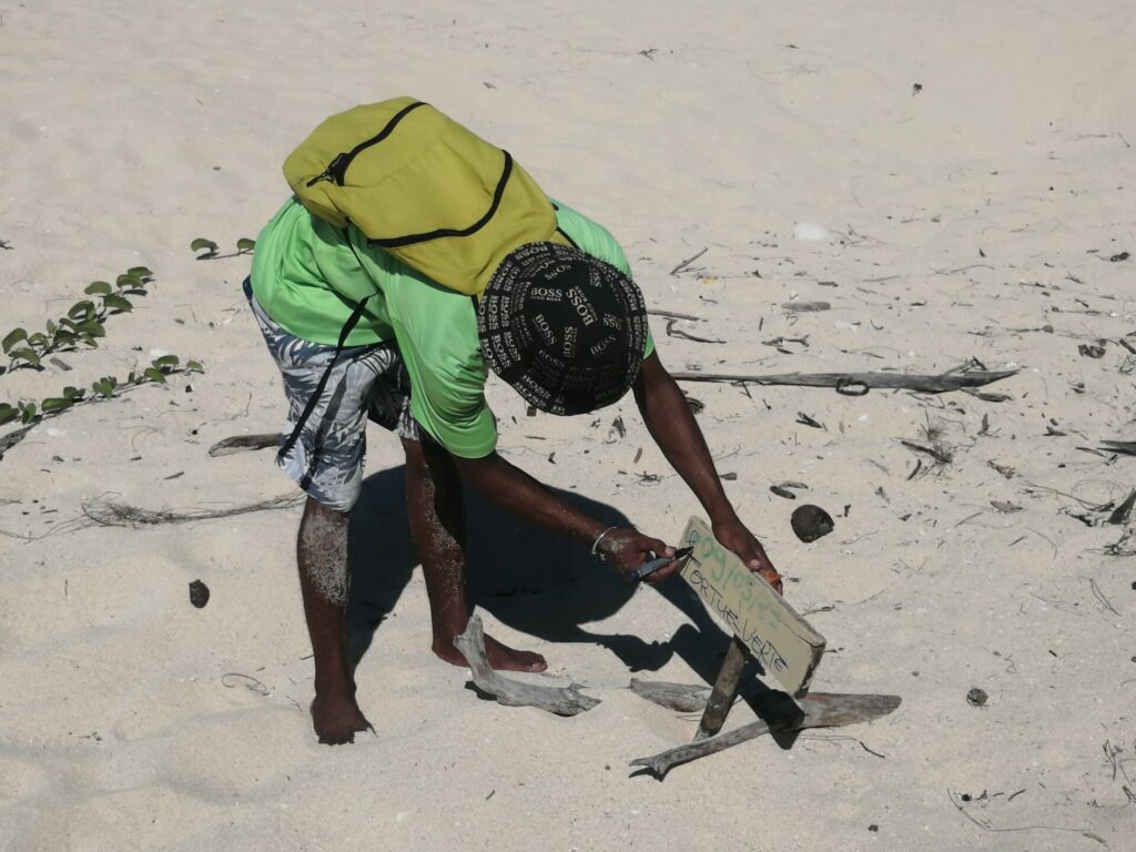 Les bébés tortues à Nosy Iranja à Madagascar (mai 2023).