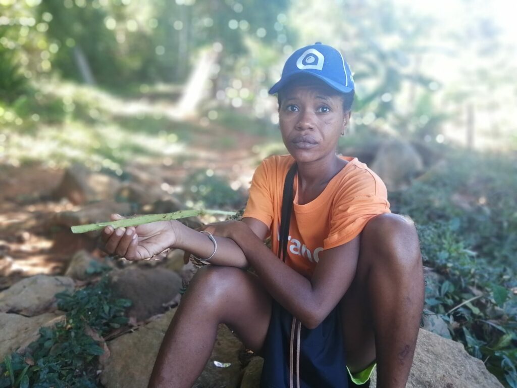 Lazalaza dans les forêts de Nosy Komba à Madagascar