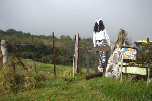 [Écotutos] Faire de l’agroforesterie à notre échelle