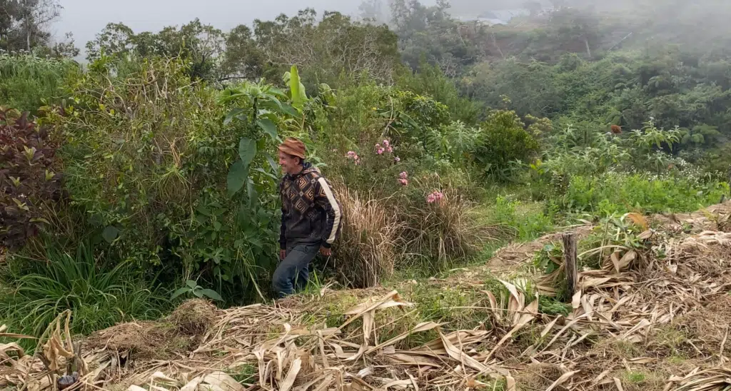 Fred de la bergerie agroforesterie