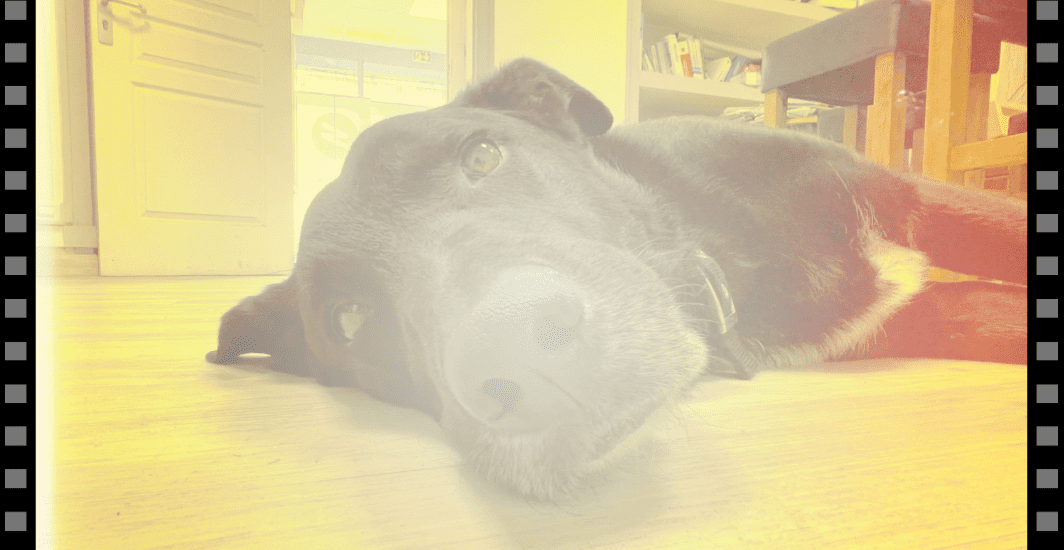 IA ChronIA et Lady la fée