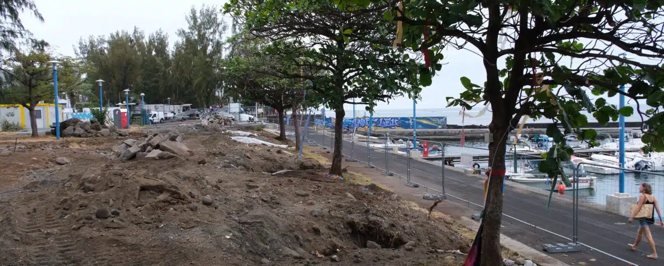 maison de la mer badamiers saint-leu