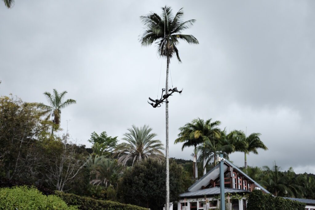 Conservatoire Botanique National Mascarin saint-leu utilisation drone Mamba cueillette et prélèvements