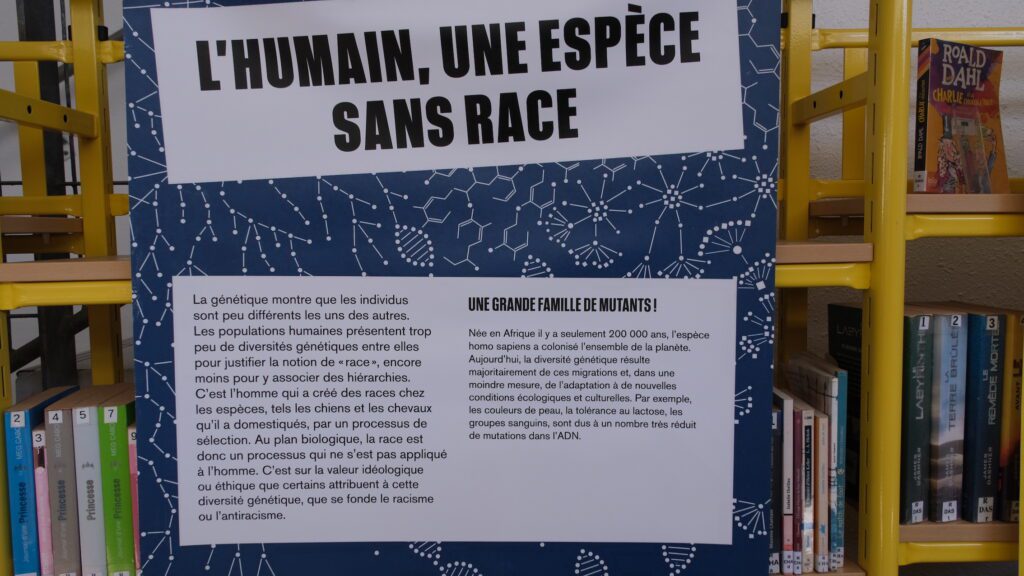 exposition Nous et les autres racisme collège Plateau-Caillou