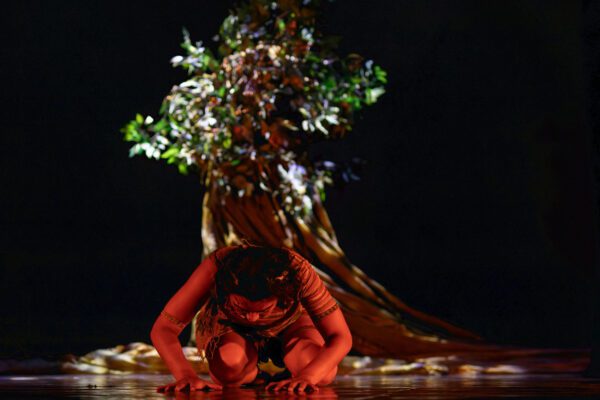 [Théâtre] L’Enfant de L’Arbre, son élégance et son vitriol