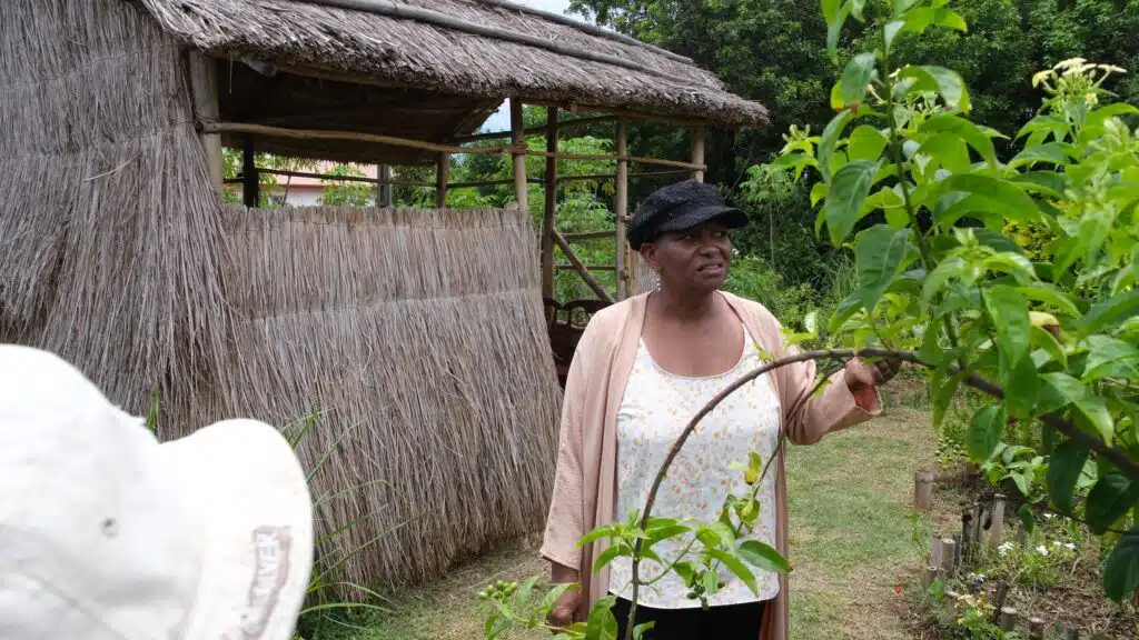 Laurita Alendroit Ankraké
