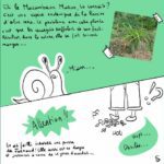 [BD reportage] Titine découvre les plantes endémiques en danger d’extinction