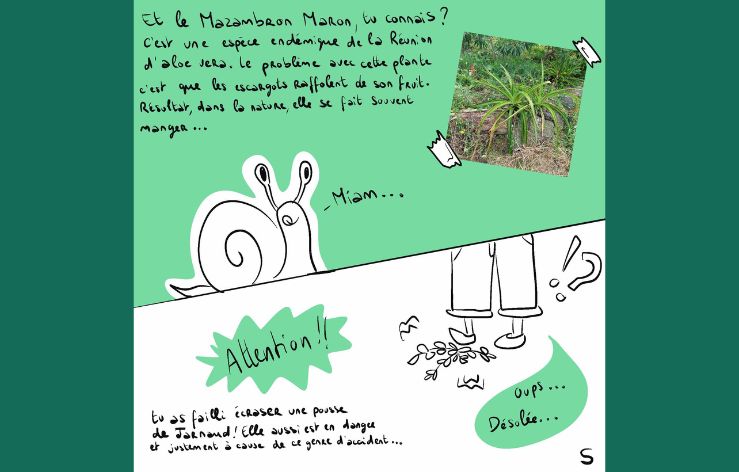 [BD reportage] Titine découvre les plantes endémiques en danger d’extinction