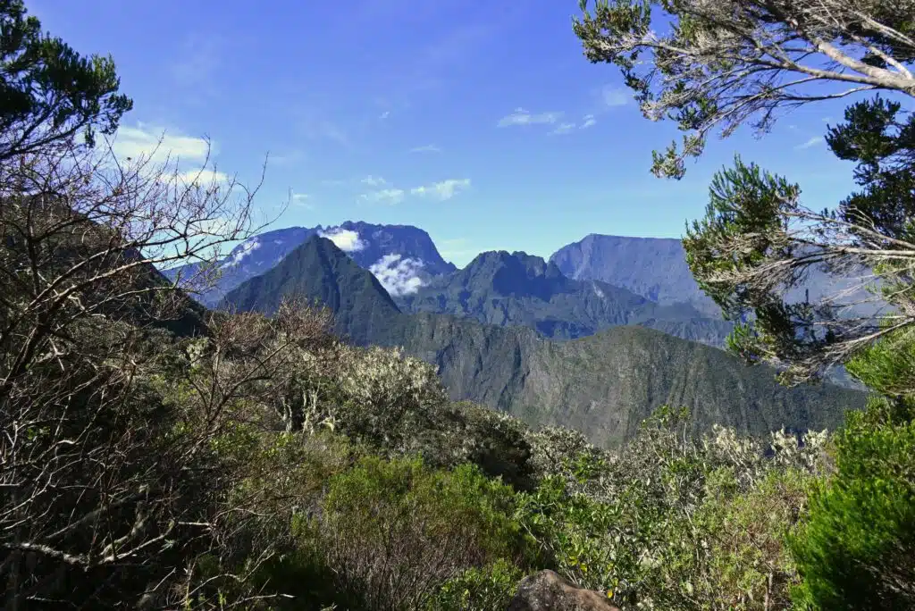 Observation tuit-tuit Roché écrite biodiversité Séor