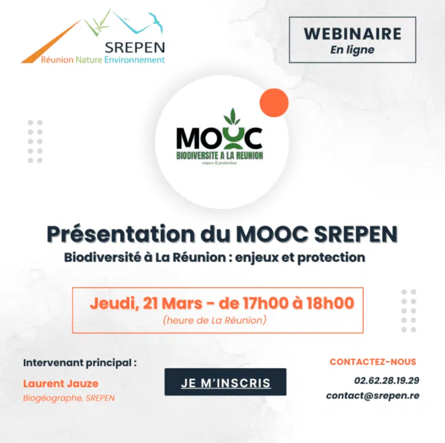 Formation MOOC avec Parallèle Sud